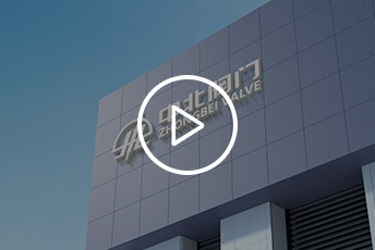 player video